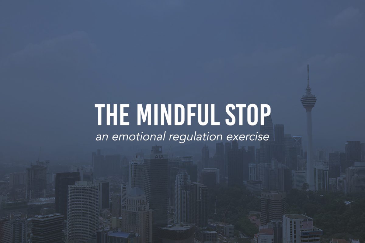 The Mindful Stop